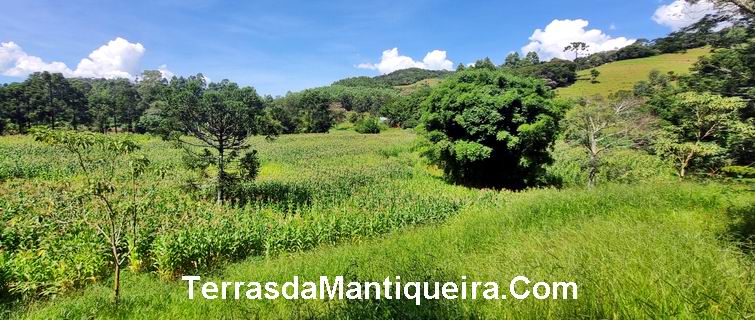 Terreno à venda, 36000m² - Foto 5