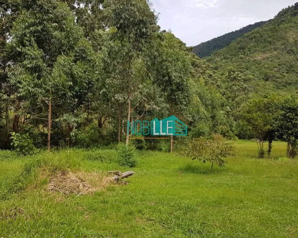 Terreno, 8 hectares - Foto 4