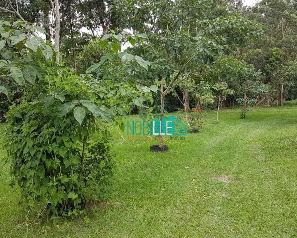 Terreno, 8 hectares - Foto 10
