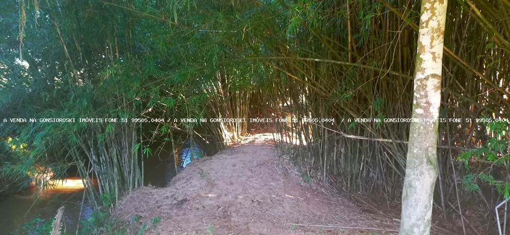 Loteamento e Condomínio, 10000 m² - Foto 1