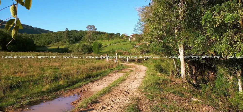 Loteamento e Condomínio, 10000 m² - Foto 2