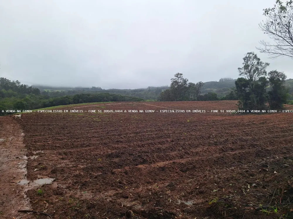 Sítio, 2 quartos, 14 hectares - Foto 6