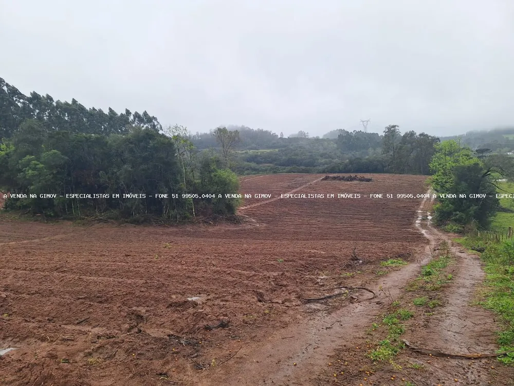 Sítio, 2 quartos, 14 hectares - Foto 9