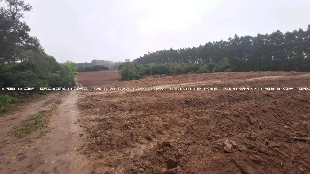 Sítio, 2 quartos, 14 hectares - Foto 4