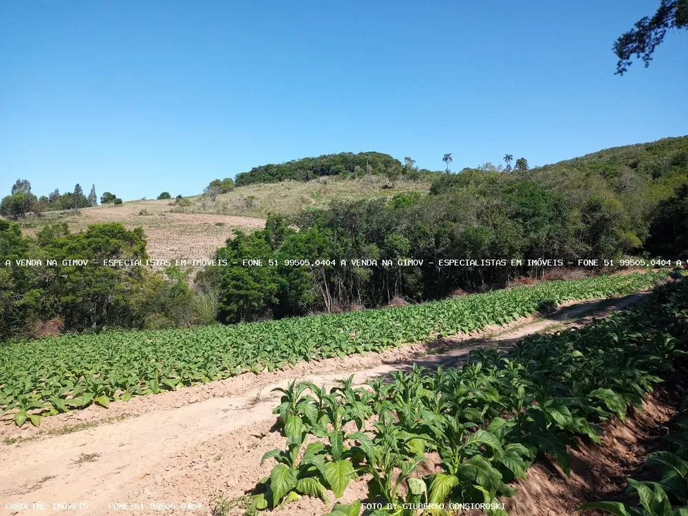 Loteamento e Condomínio, 16 hectares - Foto 8
