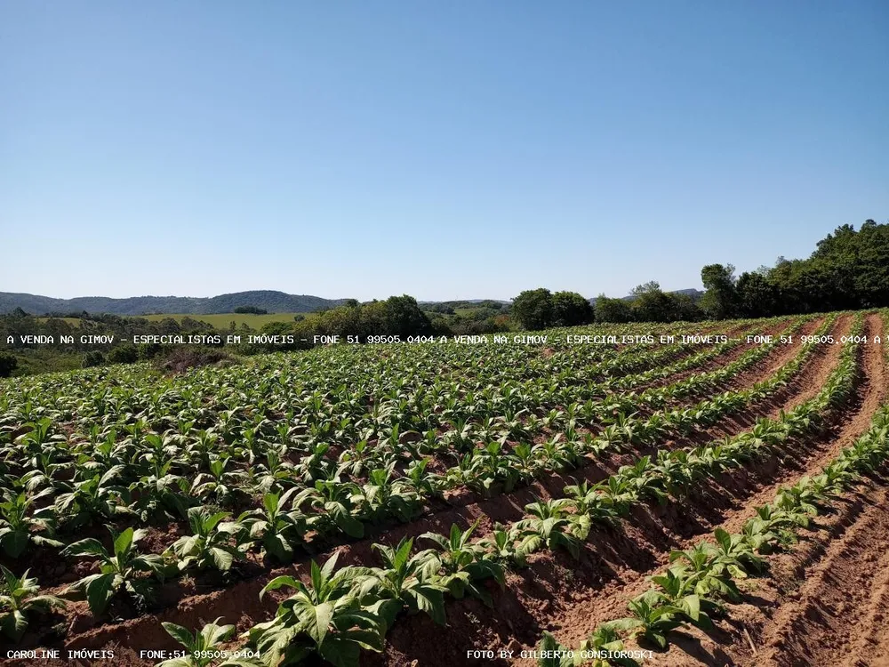 Loteamento e Condomínio, 16 hectares - Foto 1