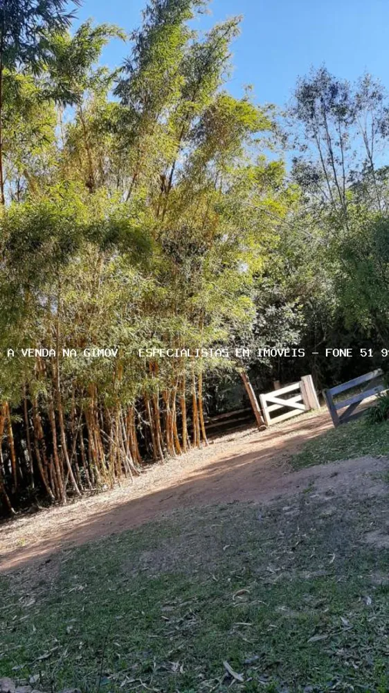 Sítio, 5 quartos, 2 hectares - Foto 4