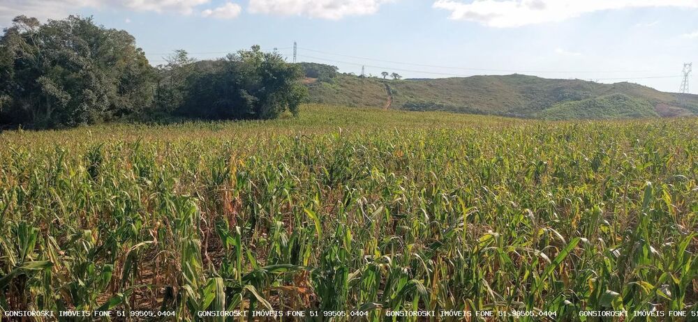Loteamento e Condomínio à venda com 4 quartos, 370000m² - Foto 20