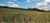 Loteamento e Condomínio, 37 hectares - Foto 11