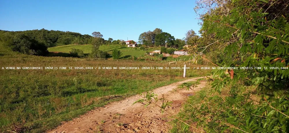 Sítio, 3 quartos, 6 hectares - Foto 11