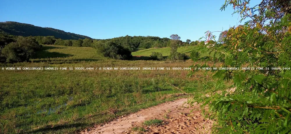 Sítio, 3 quartos, 6 hectares - Foto 1