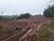 Sítio, 2 quartos, 14 hectares - Foto 4