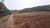 Sítio, 2 quartos, 14 hectares - Foto 3
