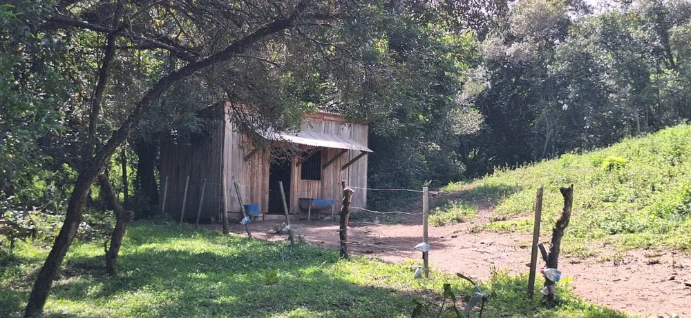 Chácara, 2 quartos, 10000 m² - Foto 11