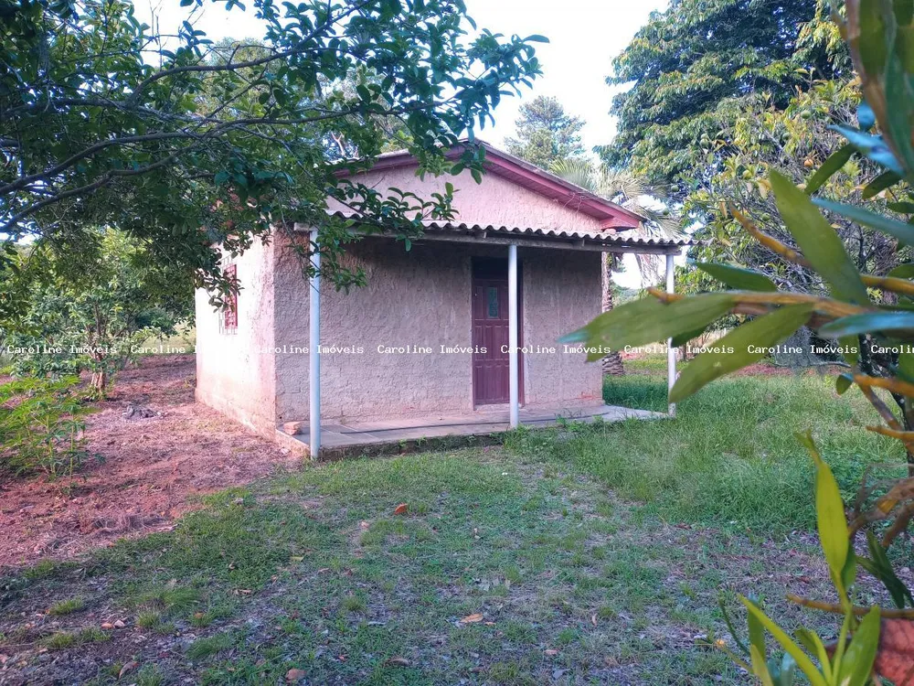 Sítio, 16 hectares - Foto 9