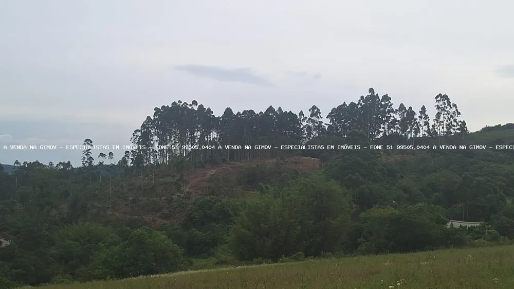 Loteamento e Condomínio, 32 hectares - Foto 3