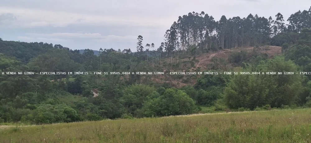 Loteamento e Condomínio, 32 hectares - Foto 4