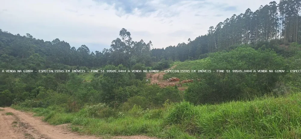 Loteamento e Condomínio, 32 hectares - Foto 9