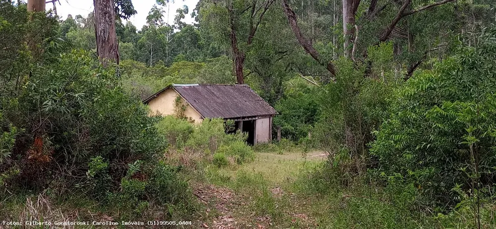 Loteamento e Condomínio, 32 hectares - Foto 1