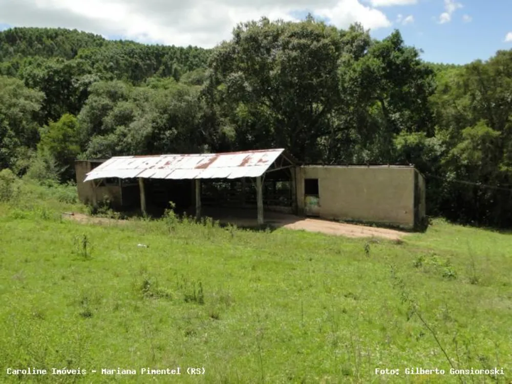 Sítio, 3 quartos, 20 hectares - Foto 3