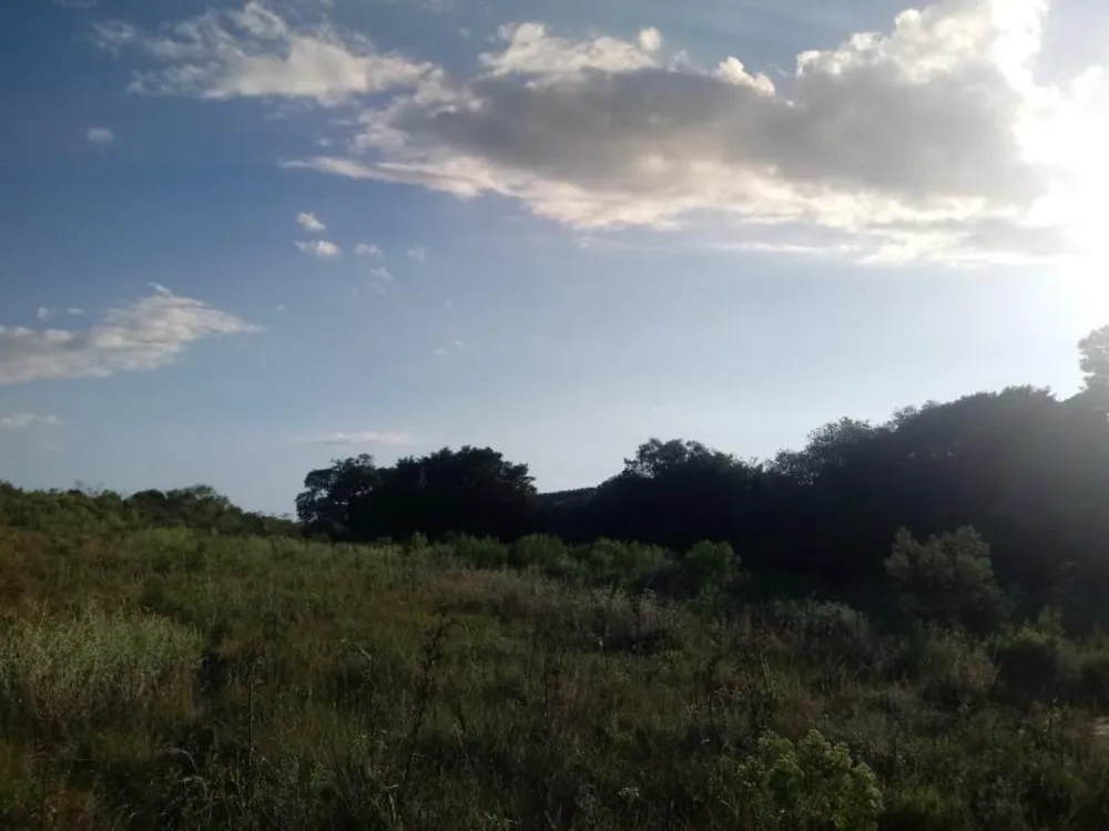 Loteamento e Condomínio, 3 hectares - Foto 4