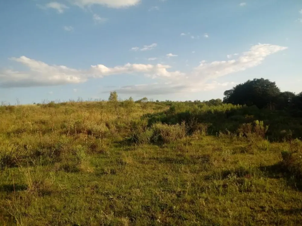 Loteamento e Condomínio, 3 hectares - Foto 3