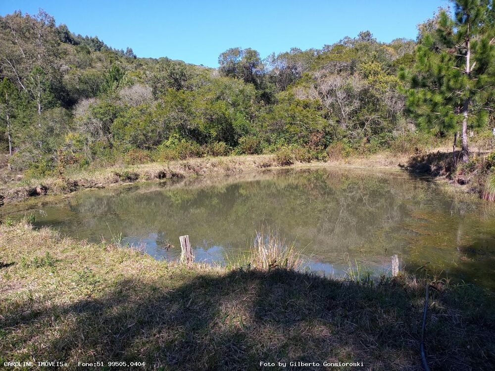 Sítio, 4 quartos, 16 hectares - Foto 8