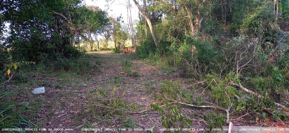 Loteamento e Condomínio à venda, 6000m² - Foto 3
