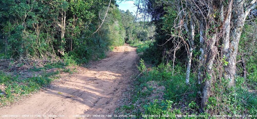 Loteamento e Condomínio à venda, 6000m² - Foto 4