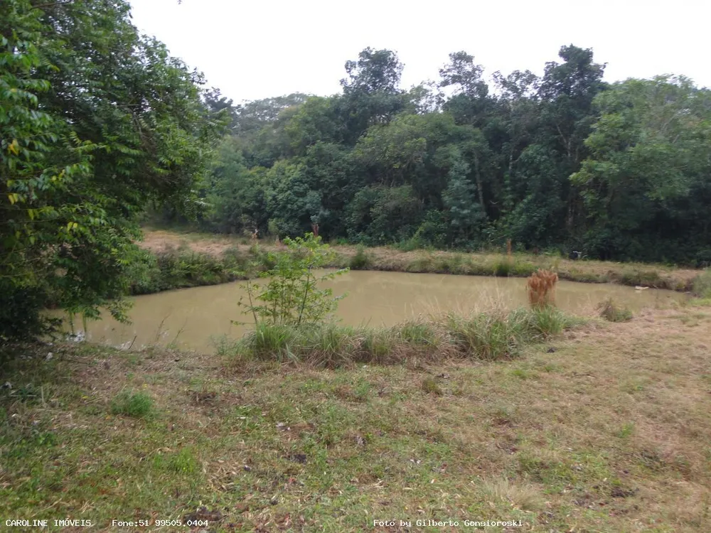 Fazenda, 49 hectares - Foto 2