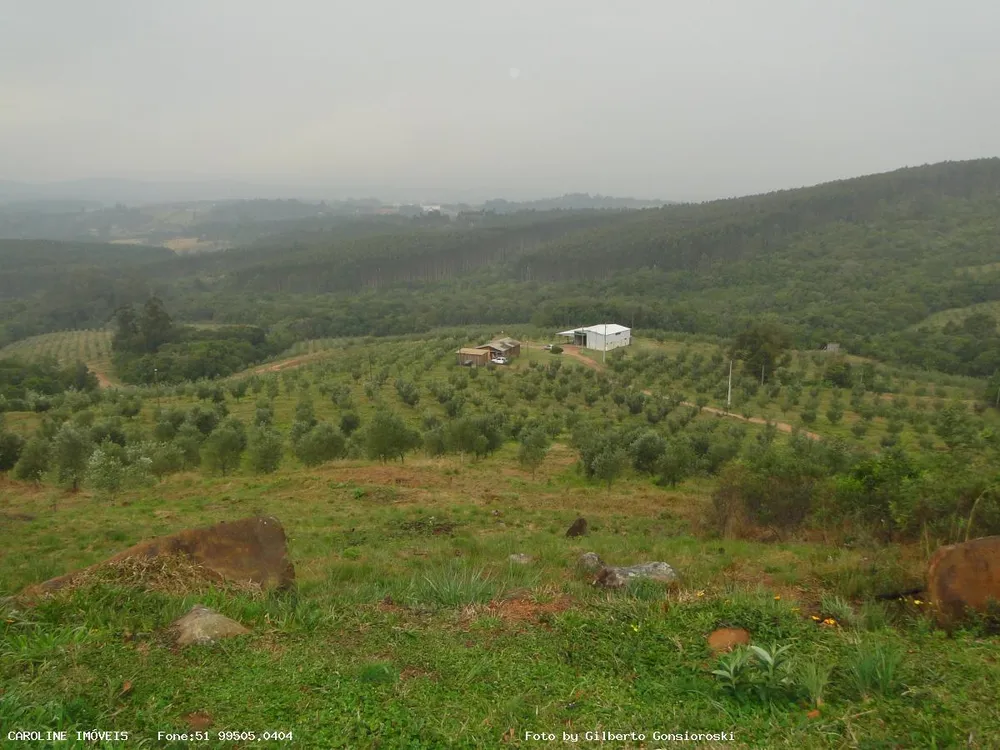Sítio, 6 quartos, 49 hectares - Foto 6