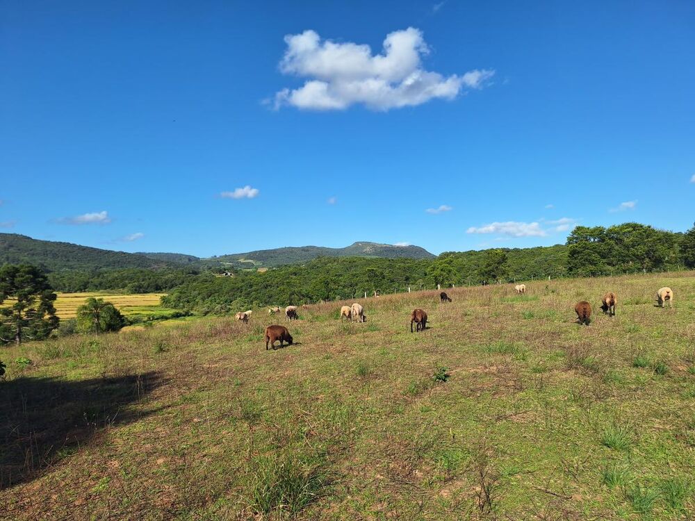 Loteamento e Condomínio, 3 hectares - Foto 4