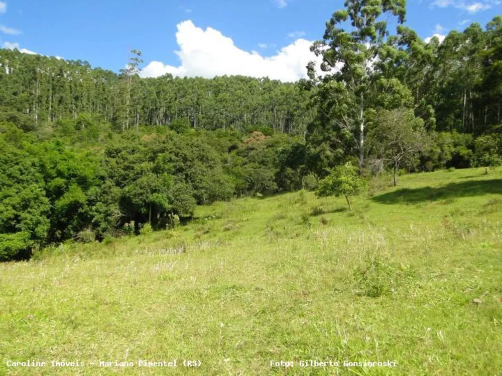 Chácara, 3 quartos, 16 hectares - Foto 7
