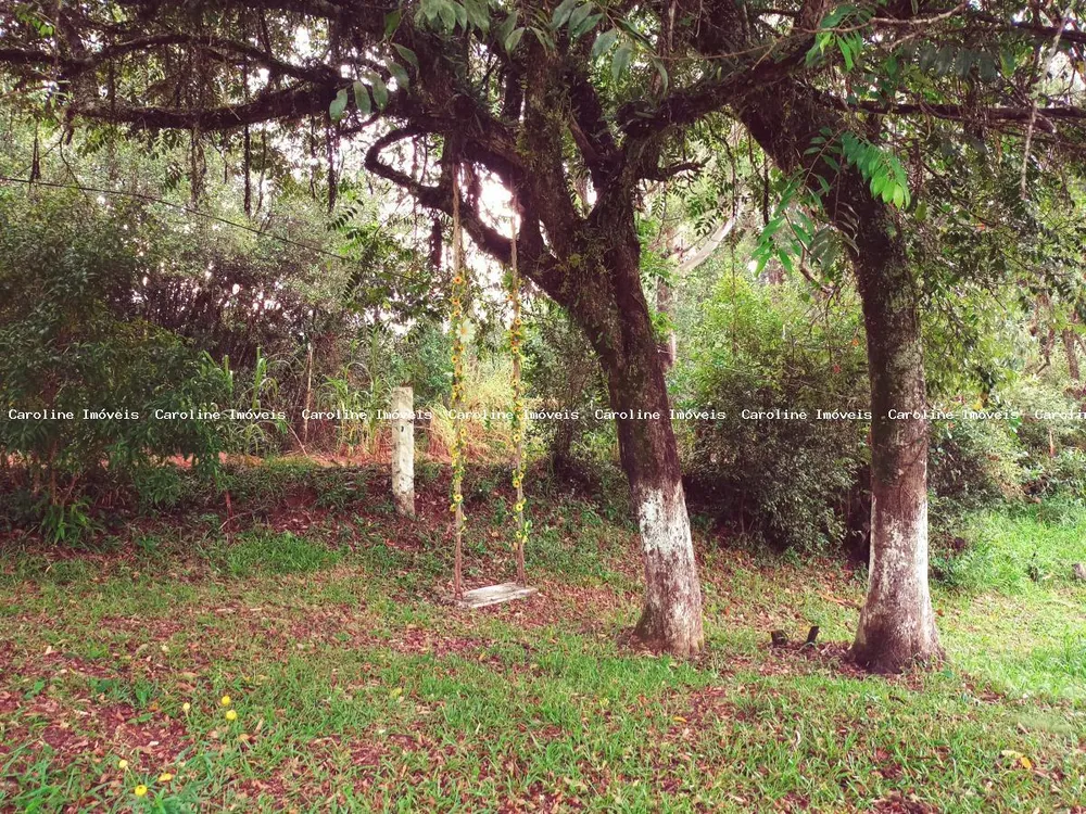 Chácara, 1 quarto, 2 hectares - Foto 3