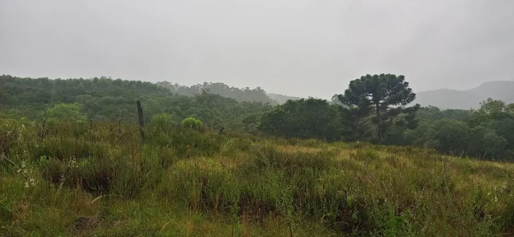 Loteamento e Condomínio, 7 hectares - Foto 6