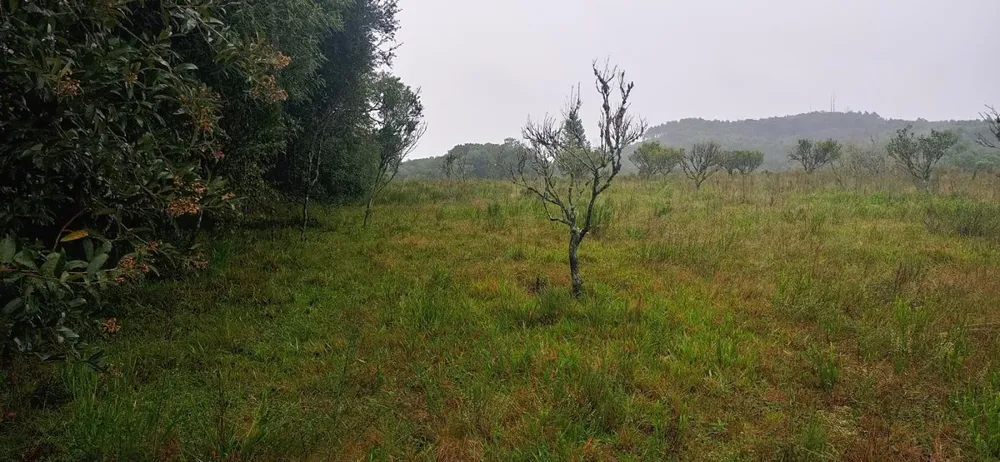 Loteamento e Condomínio, 7 hectares - Foto 3
