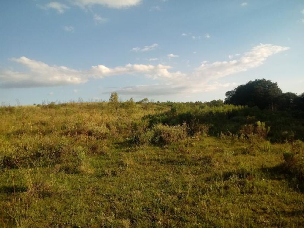 Loteamento e Condomínio à venda, 30000m² - Foto 3