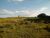 Loteamento e Condomínio, 3 hectares - Foto 3