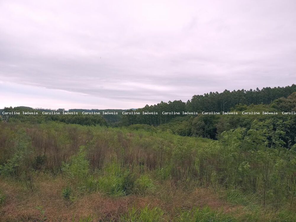 Chácara à venda, 45000m² - Foto 8