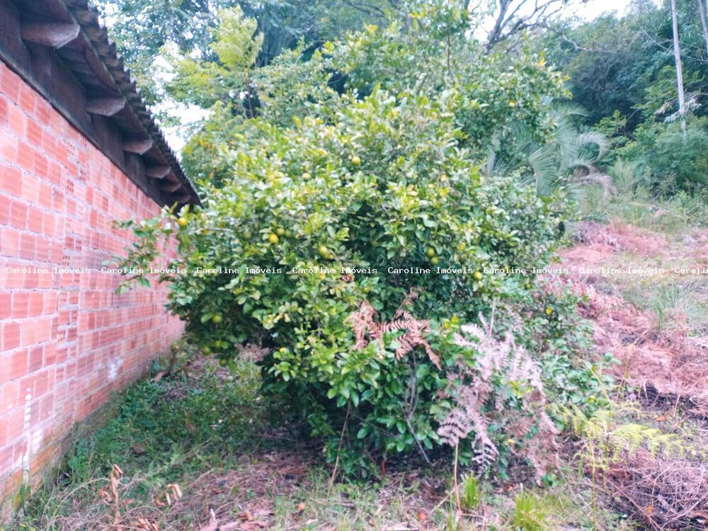 Chácara à venda, 45000m² - Foto 5