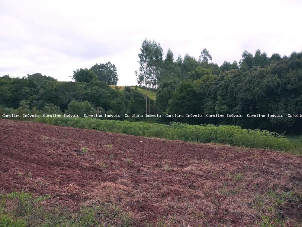 Chácara à venda, 45000m² - Foto 3