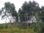 Chácara, 5 hectares - Foto 6