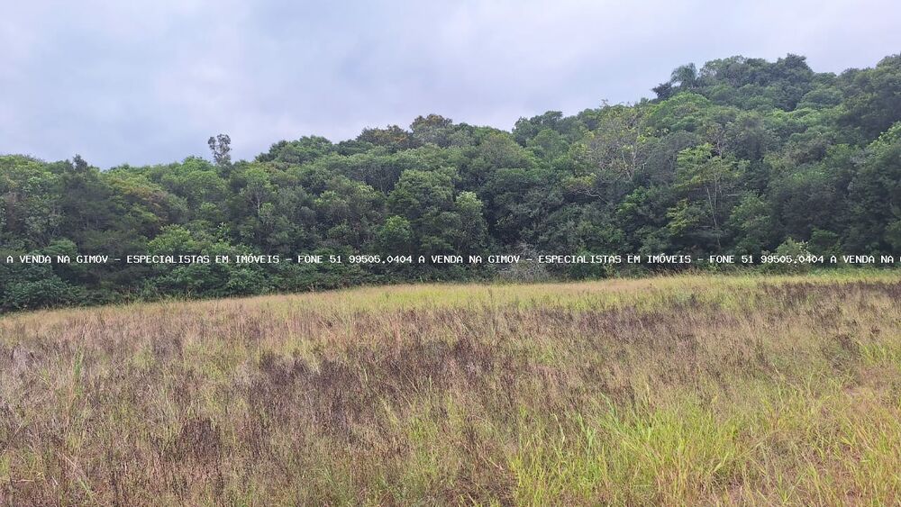 Loteamento e Condomínio à venda, 7250m² - Foto 1