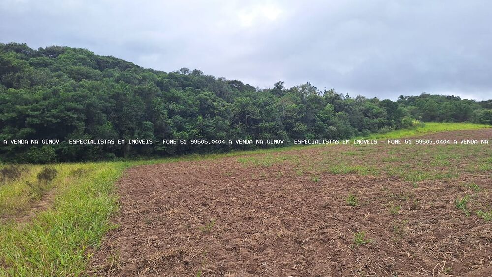 Loteamento e Condomínio à venda, 7250m² - Foto 2