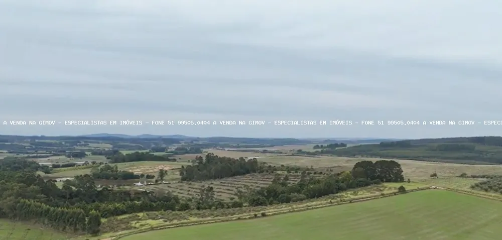 Fazenda, 63 hectares - Foto 6