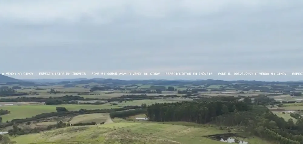 Fazenda, 63 hectares - Foto 7