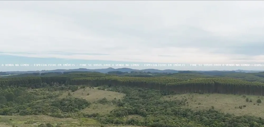 Fazenda, 63 hectares - Foto 9