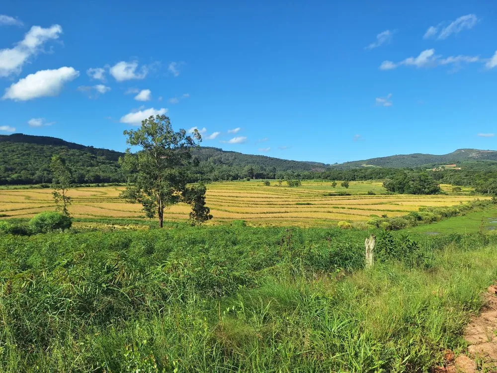Loteamento e Condomínio, 3 hectares - Foto 4