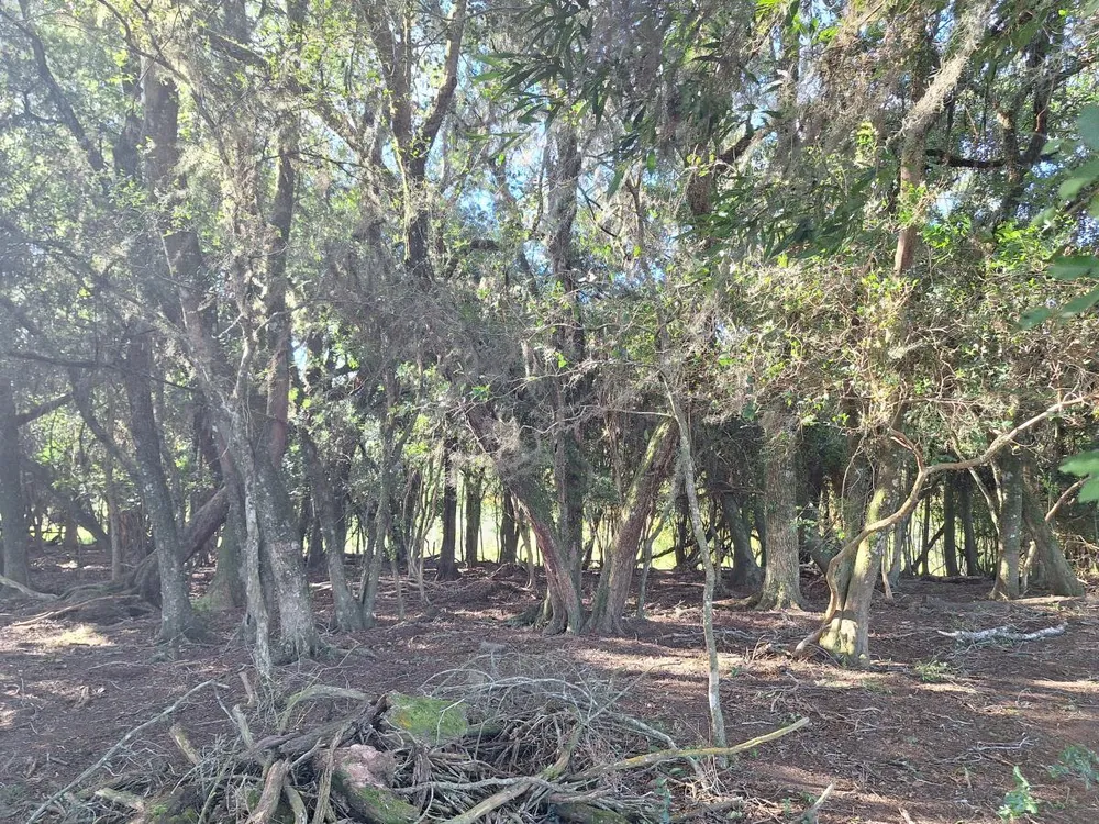 Loteamento e Condomínio, 3 hectares - Foto 8