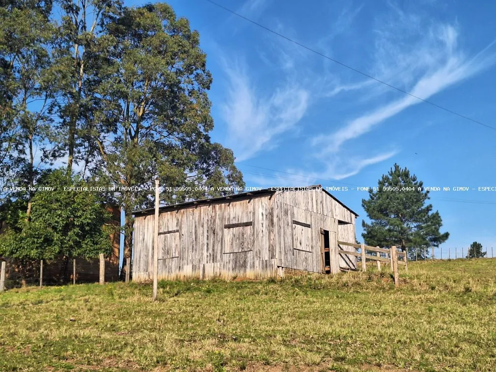 Sítio, 4 quartos, 8 hectares - Foto 3